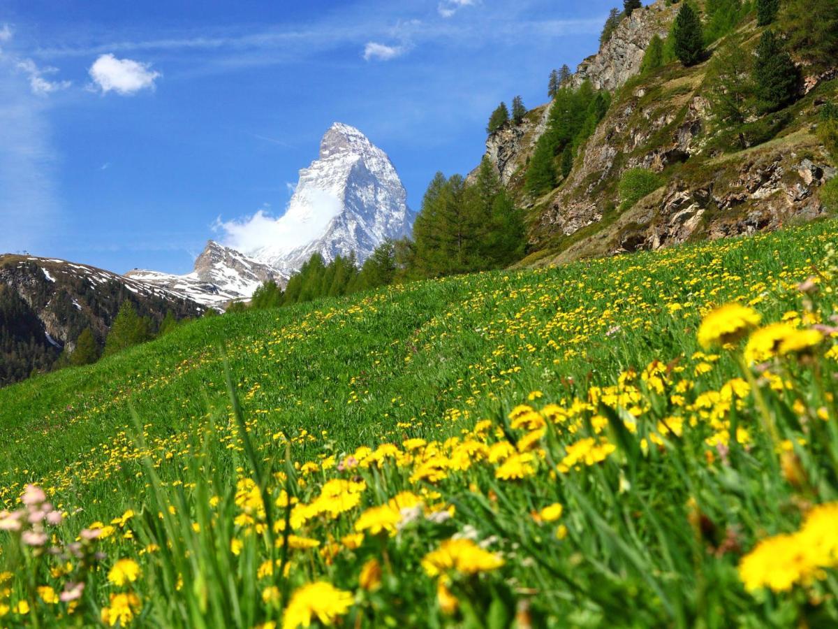 Holiday Home Gaedi By Interhome Zermatt Bagian luar foto